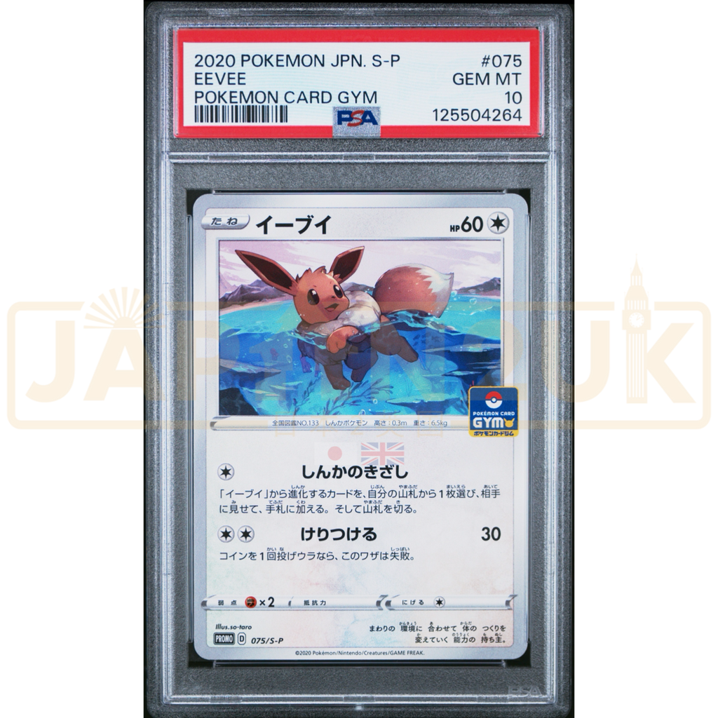 Pokemon Eevee Non Holo Gym Promo Card Pack 3 Promo 075/S-P
