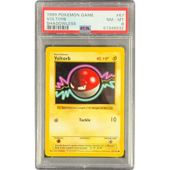 Pokemon Voltorb Non Holo Shadowless Base Set 67/102 English Graded Card PSA 8 #57346932