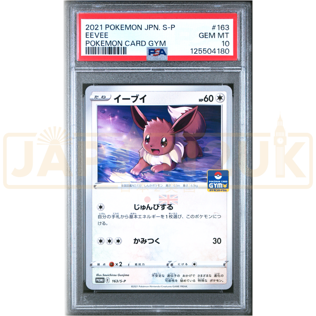 Pokemon Eevee Non Holo Gym Promo Card Pack 5 Promo 163/S-P