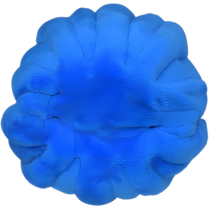 Clamperl plush sales