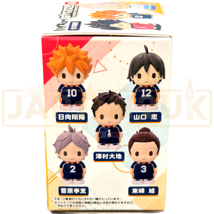 Mascot Haikyu!! Ver. A Blind Box