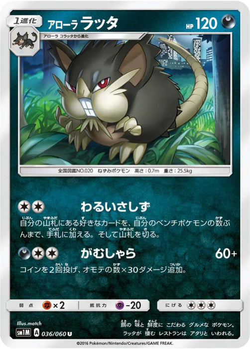 Pokemon Alolan Raticate Non Holo Collection Moon sm1m 036/060 Japanese Single Card