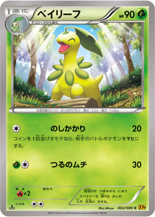 Pokemon Bayleef Non Holo Rage Of The Broken Heavens xy9 002/080 Japanese Single Card