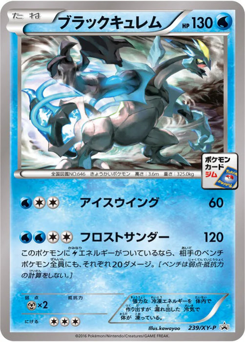 Pokemon Black Kyurem Non Holo Gym Promotional Card Pack 7 Promo 239/XY-P Japanese Single Card