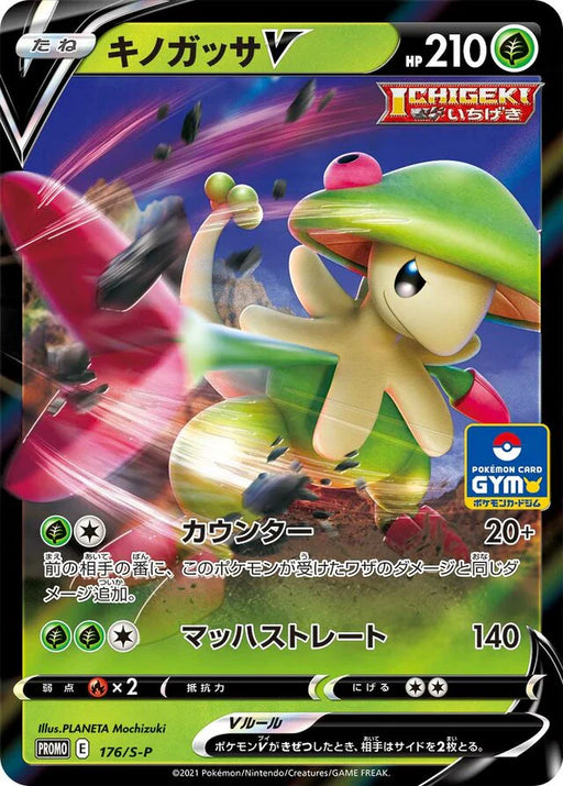 Pokemon Breloom Holo Gym Promo Card Pack 6 Promo 176/S-P Japanese Single Card
