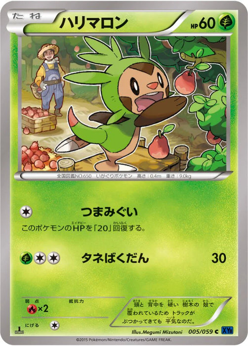 Pokemon Chespin Non Holo Blue Shock xy8-Bb 005/059 Japanese Single Card