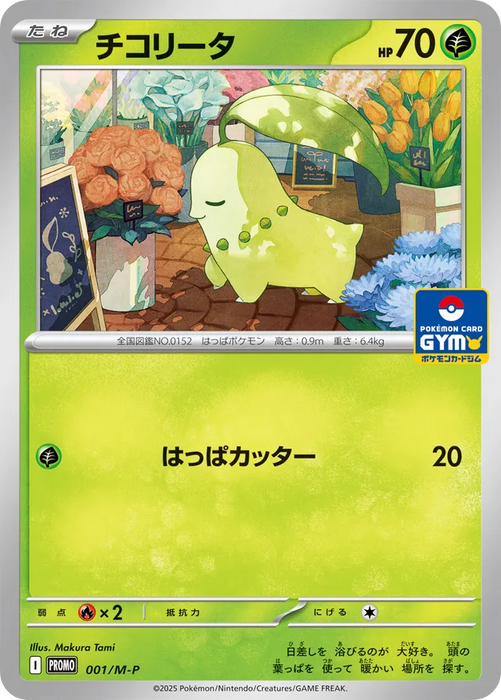 Pokemon Chikorita Non Holo Gym Promo Card Pack 1 Mega Evolution Promo Japan2UK Pokemon Chikorita Non Holo Gym Promo Card Pack 1 Mega Evolution Promo Japan2UK