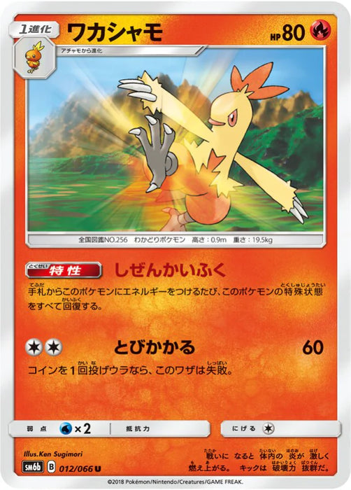 Pokemon Combusken Non Holo Champions Road sm6b 012/066 Japanese Single Card