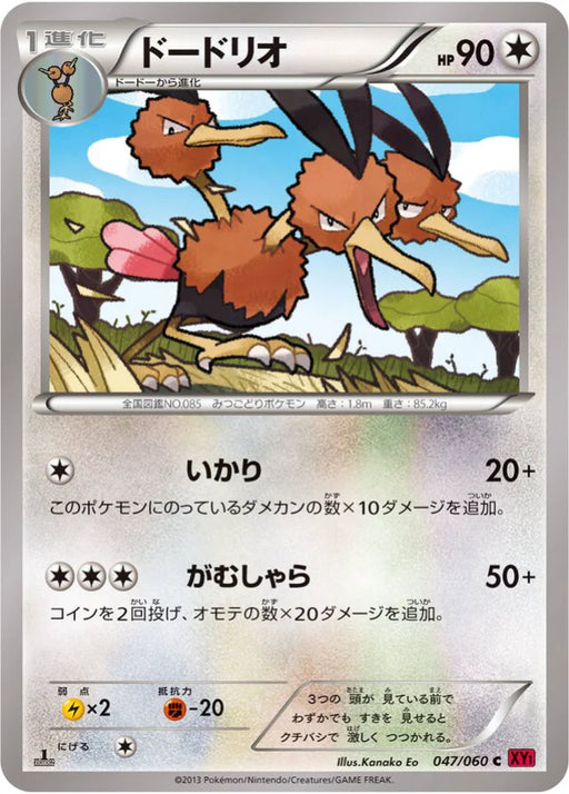 Pokemon Dodrio Non Holo Collection Y 047/060 Japanese Single Card