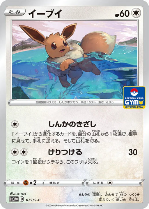 Pokemon Eevee Non Holo Gym Promo Card Pack 3 Promo 075/S-P Japanese Single Card