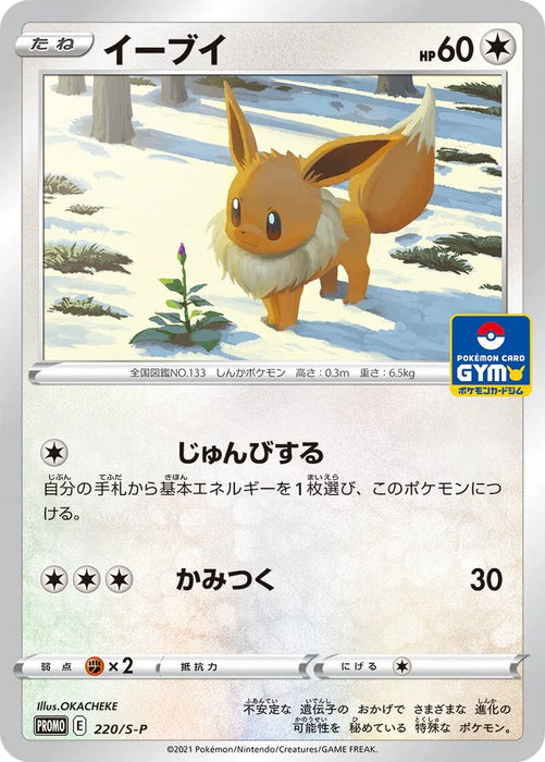Pokemon Eevee Non Holo Gym Promo Card Pack 7 Promo 220/S-P Japanese Single Card