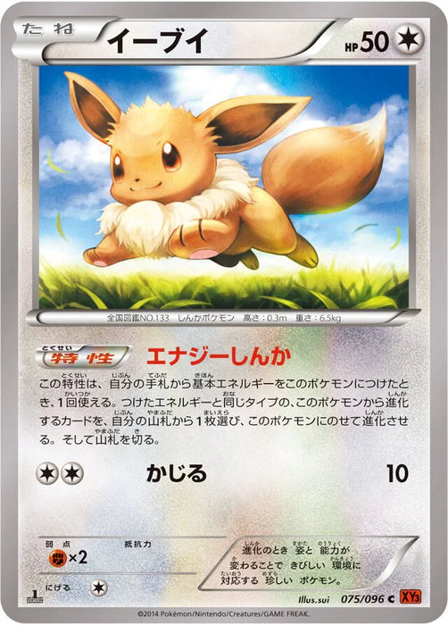 Pokemon Eevee Non Holo Rising Fist xy3 075/096 Japanese Single Card