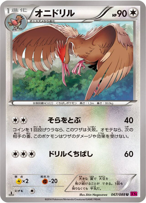 Pokemon Fearow Non Holo Phantom Gate xy4 067/088 Japanese Single Card