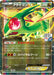 Pokemon Flygon Holo Pokemon Card Gym Promotional Card Pack 4 Promo 114/XY-P Japanese Single Card