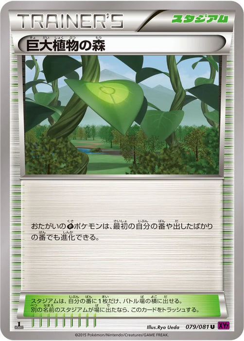 Pokemon Forest of Giant Plants Non Holo Bandit Ring xy7 079/081 Japanese Single Card