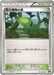 Pokemon Forest of Giant Plants Non Holo Premium Trainer Box smB 016/018 Japanese Single Card