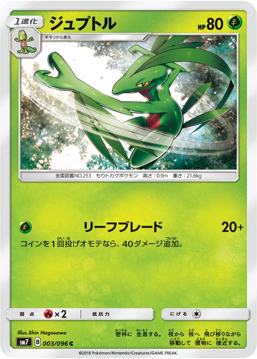 Pokemon Grovyle Non Holo Charisma Sky sm7 003/096 Japanese Single Card