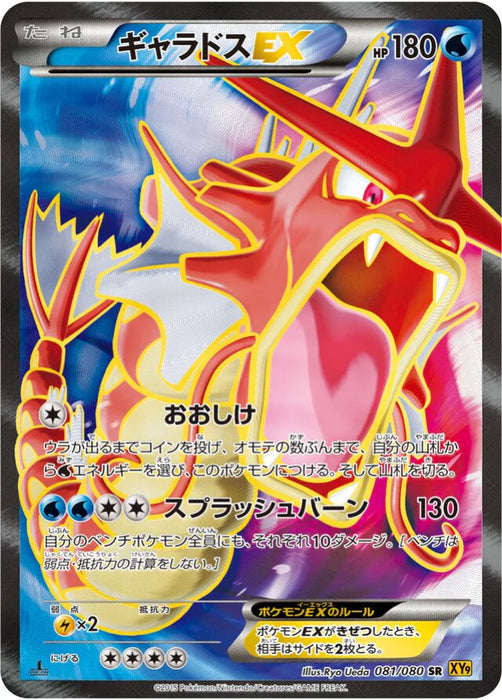 Pokemon Gyarados EX Non Holo Rage Of The Broken Heavens xy9 081/080 Japanese Single Card