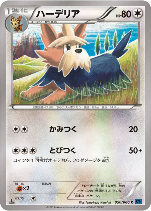 Pokemon Herdier Non Holo Collection X 050/060 Japanese Single Card