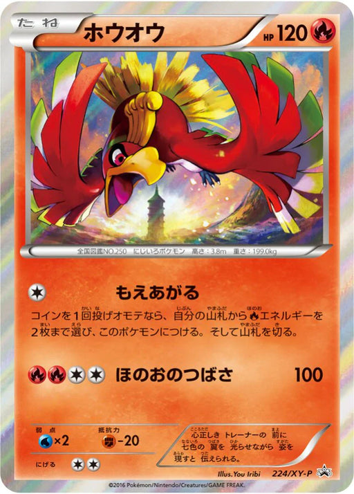 Pokemon Ho-Oh Holo Ho-Oh + Lugia Special Set Promo 224/XY-P Japanese Single Card