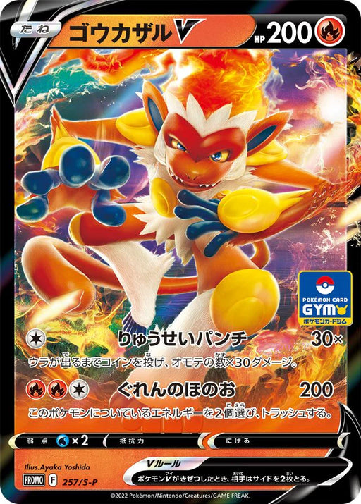 Pokemon Infernape Holo Gym Promo Card Pack 9 Promo 257/S-P Japanese Single Card