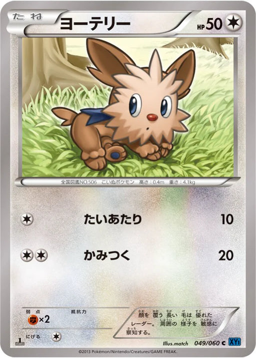 Pokemon Lillipup Non Holo Collection X 049/060 Japanese Single Card