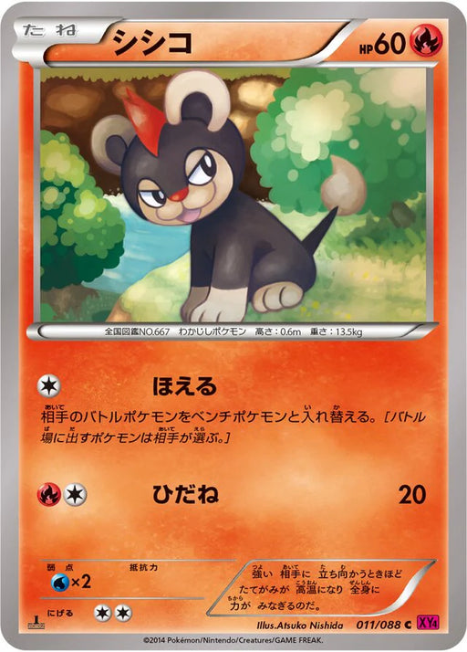 Pokemon Litleo Non Holo Phantom Gate xy4 011/088 Japanese Single Card