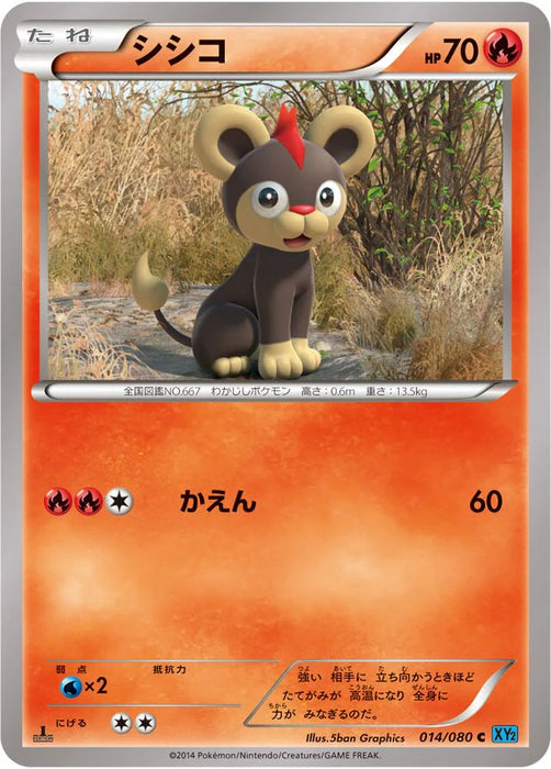 Pokemon Litleo Holo Wild Blaze xy2 014/080 Japanese Single Card