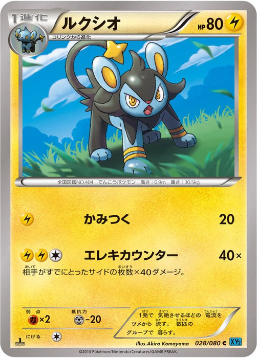 Pokemon Luxio Non Holo Wild Blaze xy2 028/080 Japanese Single Card