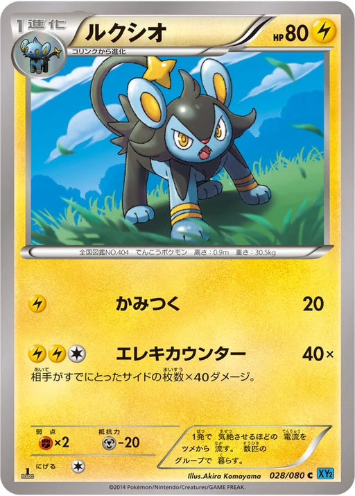 Pokemon Luxio Non Holo Wild Blaze xy2 028/080 Japanese Single Card