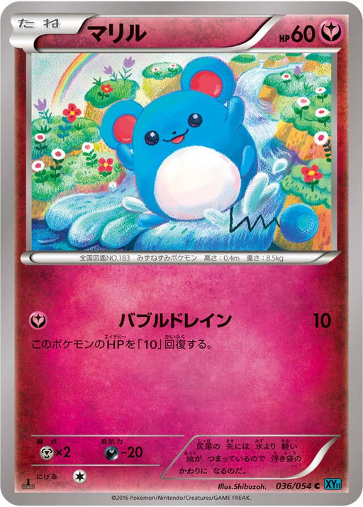 Pokemon Marill Non Holo Cruel Traitor xy11 Br 036/054 Japanese Single Card