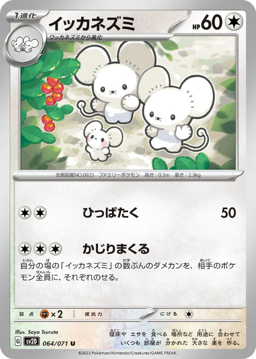 Pokemon Maushold Non Holo Clay Burst sv2D 064/071 Japanese Single Card