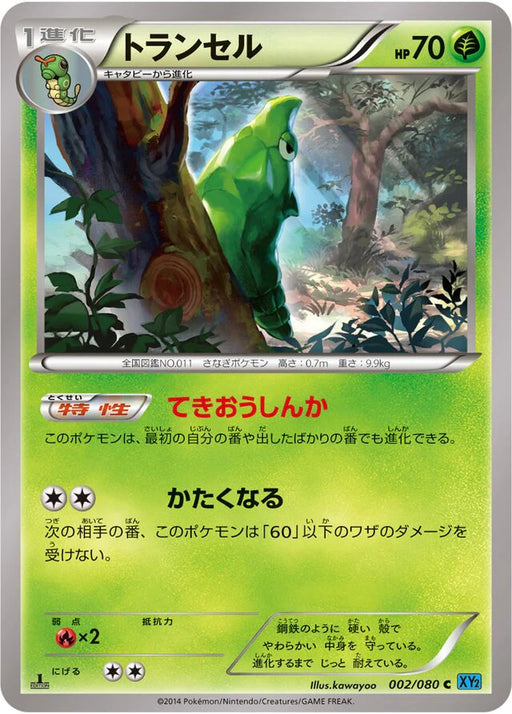 Pokemon Metapod Non Holo Wild Blaze xy2 002/080 Japanese Single Card