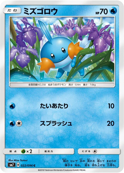 Pokemon Mudkip Non Holo Charisma Sky sm7 022/096 Japanese Single Card