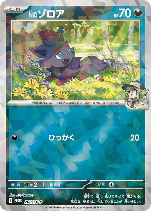 Pokemon N's Zorua Reverse Holo Collection File Set N Terastal Holofoil Promo 200/SV-P Japanese Single Card
