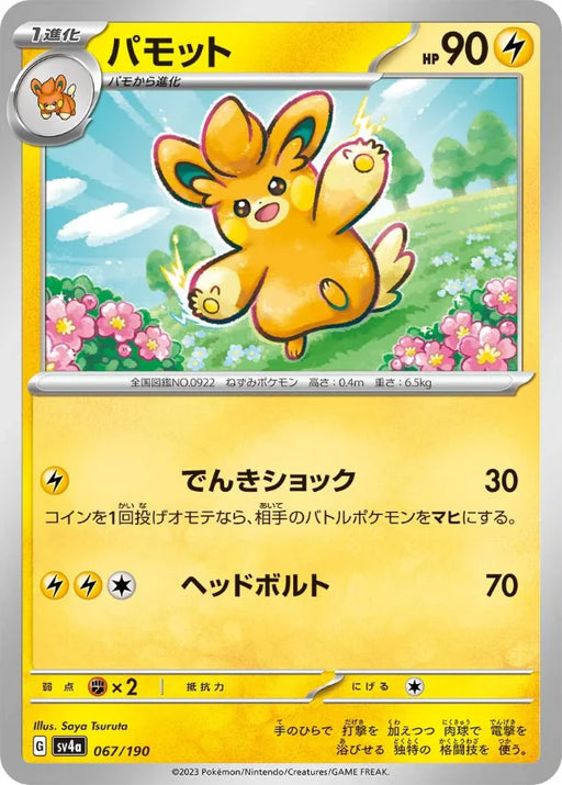 Pokemon Pawmo Non Holo Shiny Treasure ex High Class sv4a 067/190 Japanese Single Card