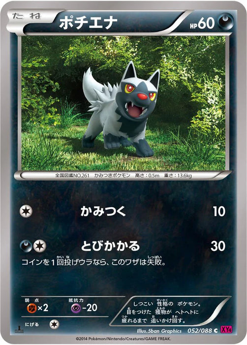 Pokemon Poochyena Non Holo Phantom Gate xy4 052/088 Japanese Single Card
