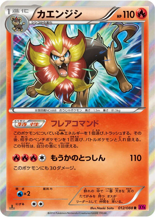 Pokemon Pyroar Holo Phantom Gate xy4 012/088 Japanese Single Card