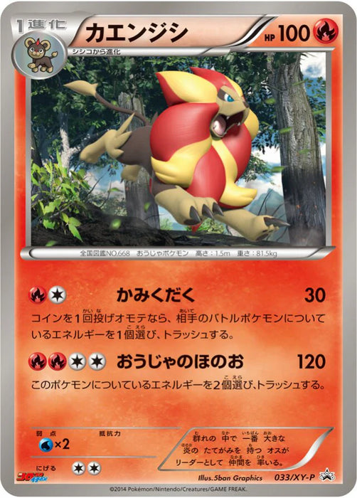 Pokemon Pyroar Non Holo Promo 033/XY-P Japanese Single Card