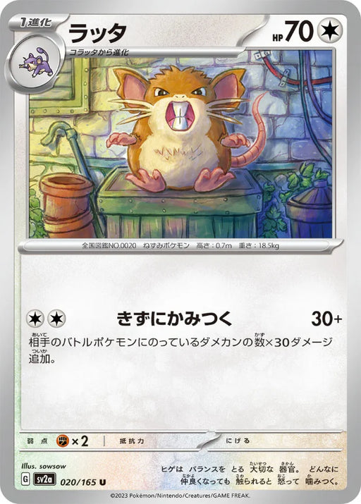 Pokemon Raticate Non Holo Pokemon 151 sv2a 020/165 Japanese Single Card