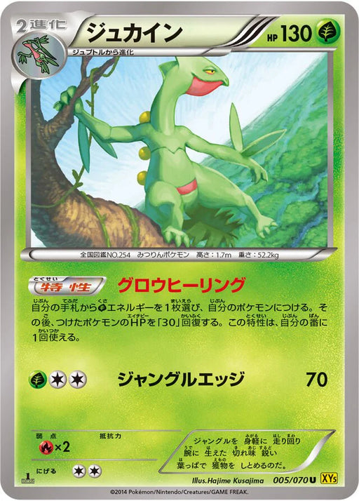 Pokemon Sceptile Non Holo Gaia Volcano 005/070 Japanese Single Card