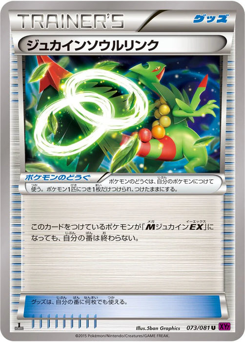 Pokemon Sceptile Spirit Link Non Holo Bandit Ring xy7 073/081 Japanese Single Card