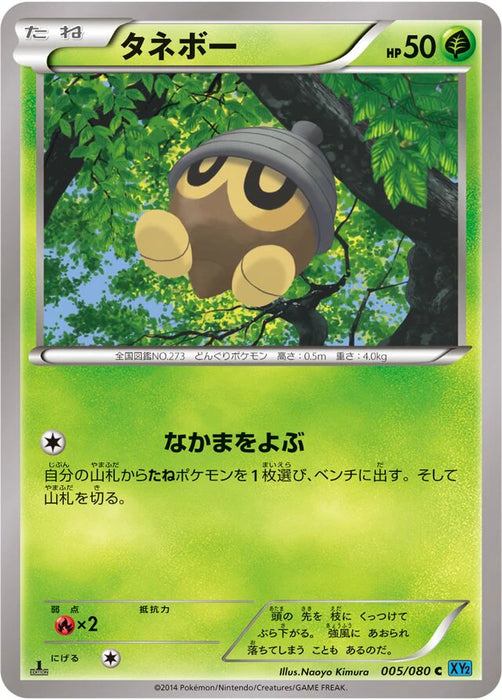 Pokemon Seedot Holo Wild Blaze xy2 005/080 Japanese Single Card