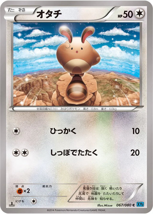 Pokemon Sentret Non Holo Wild Blaze xy2 067/080 Japanese Single Card
