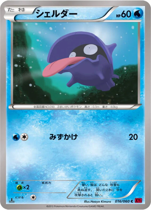 Pokemon Shellder Non Holo Collection Y 016/060 Japanese Single Card