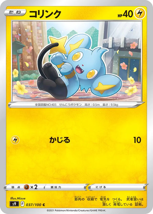Pokemon Shinx Non Holo Star Birth s9 037/100 Japanese Single Card
