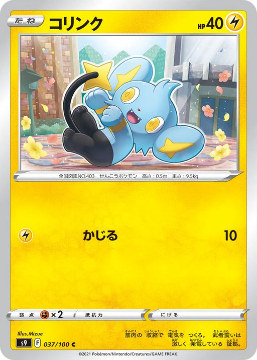 Pokemon Shinx Non Holo Star Birth s9 037/100 Japanese Single Card