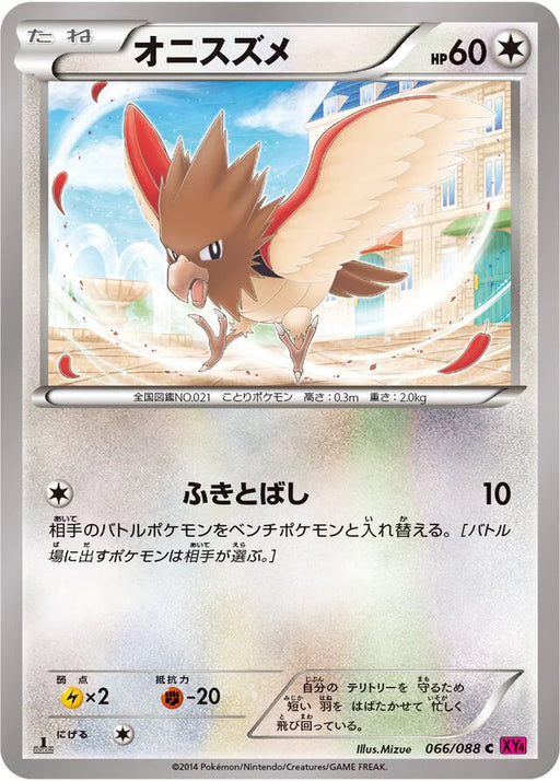 Pokemon Spearow Non Holo Phantom Gate xy4 066/088 Japanese Single Card