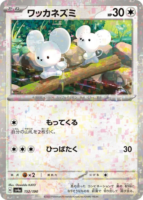 tandemaus pokemon card price #tandemaus #maushold #pokemon #pokemoncards Violet Base Set Singles Tandemaus (157/191) [Scarlet & Violet: