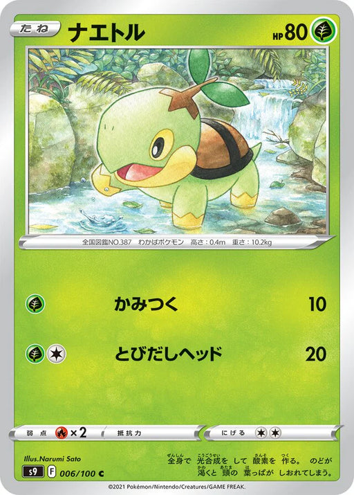 Pokemon Turtwig Non Holo Star Birth s9 006/100 Japanese Single Card